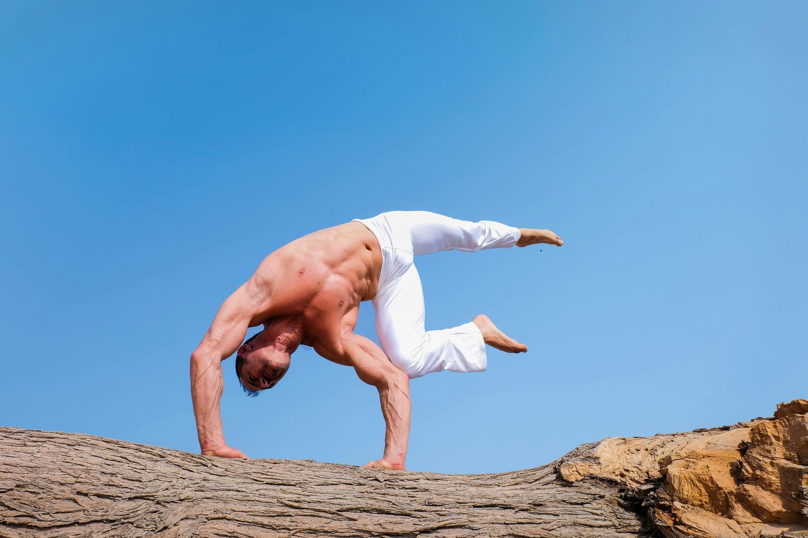 EMS Training and Creatine: Synergistic Effects on Muscle Hypertrophy