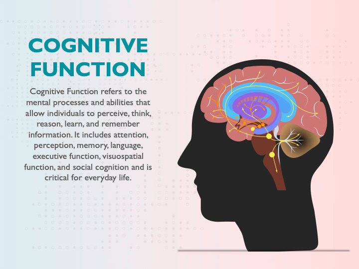 EMS and Cognitive Function: Enhancing Brain Health 