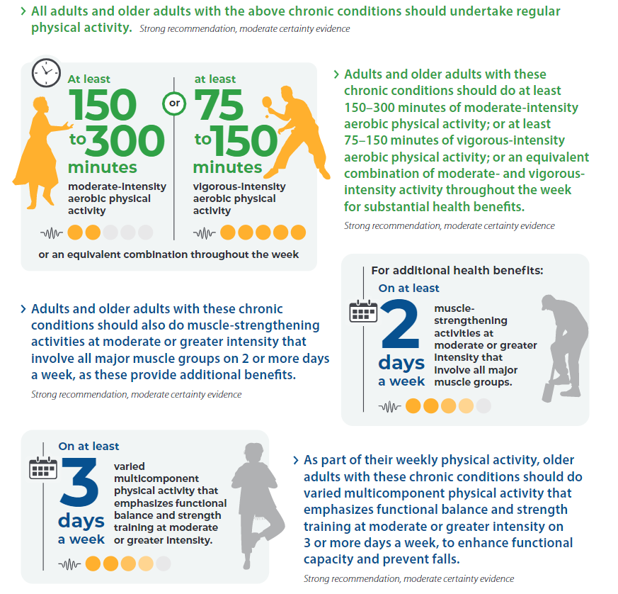 Maintaining physical strength and mobility not only keeps seniors physically active but also plays a critical role in enhancing cognitive function and mental health.