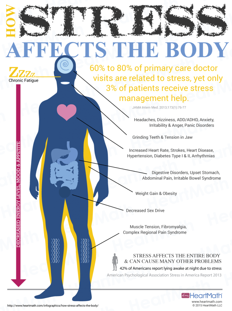 Understanding the Link Between Stress and the Body 